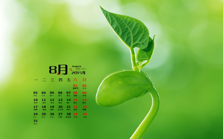 20158ֽɫˮֽ