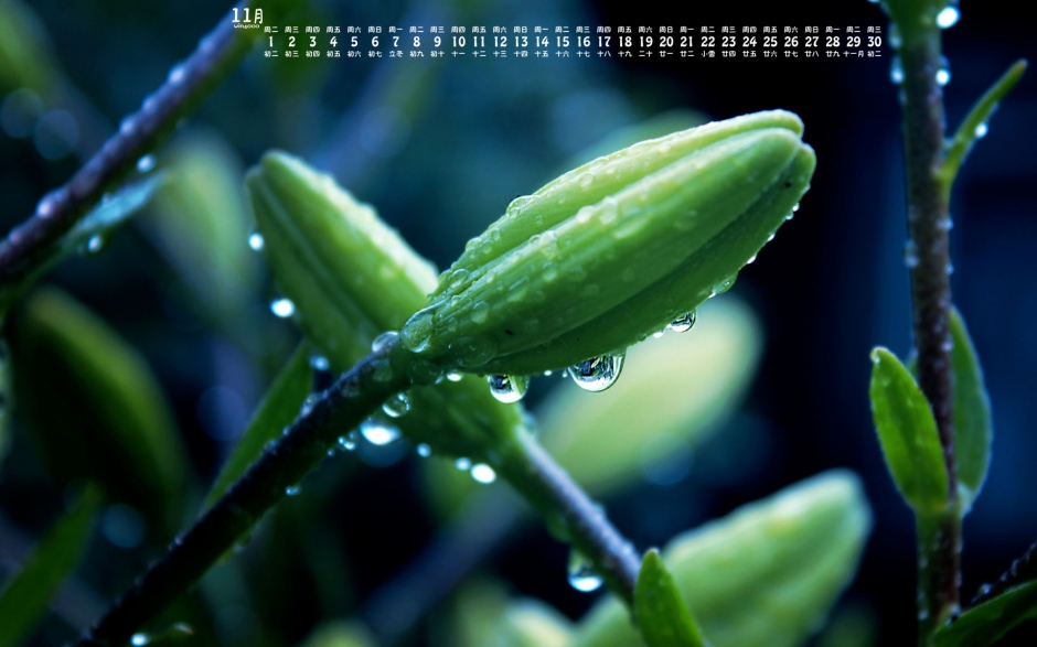 201611ɫֲֽ
