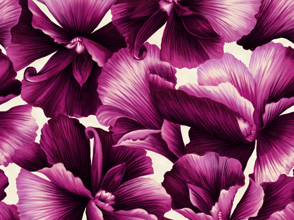 ʲ ļ