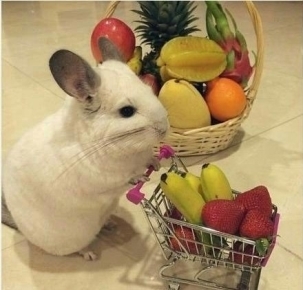 ɰʱеС