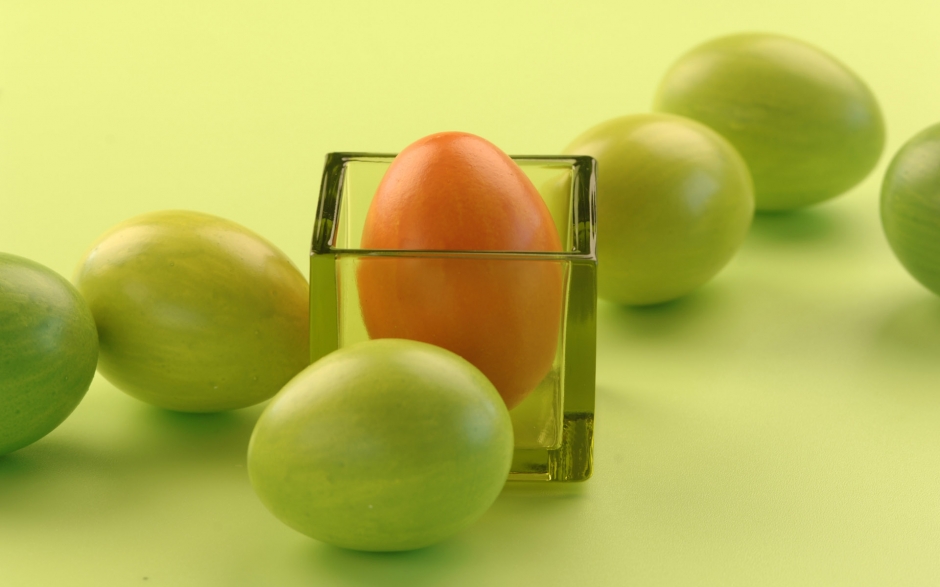 ڲʵ ڶ