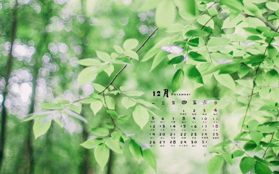 201612СҶͼƬɫ۱ֽ