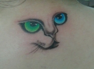 背部波斯猫宠物五官创意彩绘纹身图案