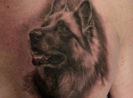 创意写实德国牧羊犬男人胸部纹身图片