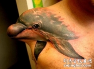 3D非常逼真的海豚遮盖伤疤肩部纹身图案