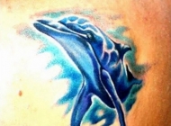 肩部背部男生3D彩色的海豚流行纹身图片
