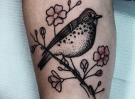 简约小清新鸟植物女生腿部纹身小图案