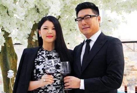 王岳伦为什么是知名导演 王岳伦导演作品有哪些？