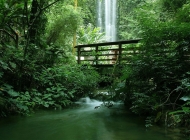 森林瀑布唯美大自然风景高清桌面图片