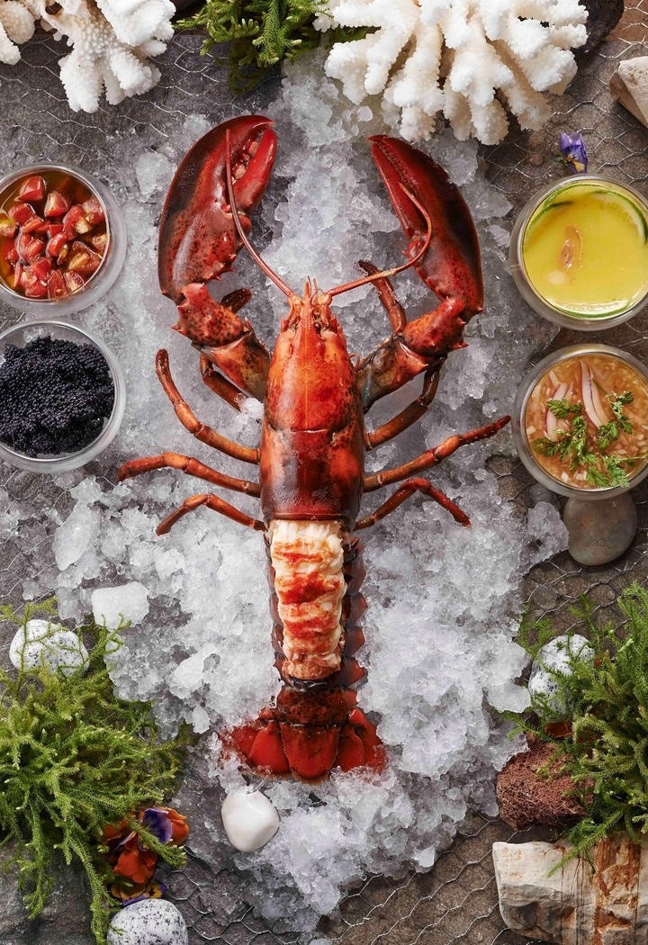 波斯顿龙虾海鲜美食高清摄影图片