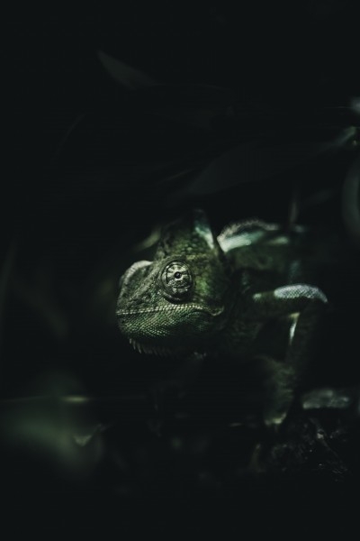 Ѫ滧΢ӰͼƬ