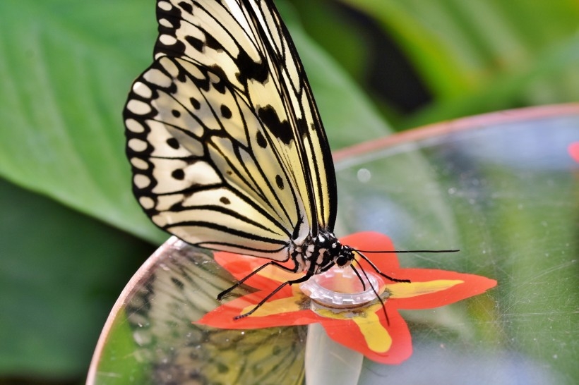 ˵ĺͼƬȫ