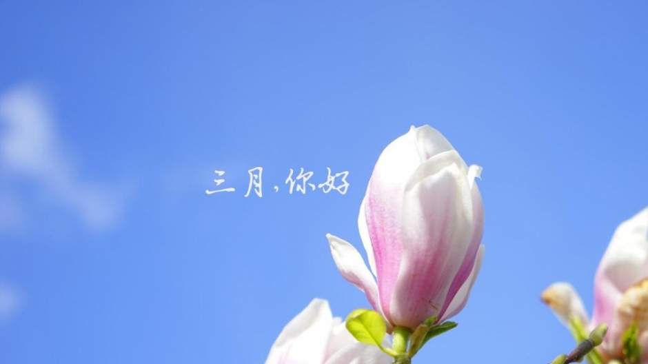 üΨֽ