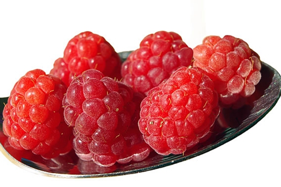 红色的水果覆盆子图片