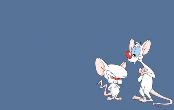 《两只老鼠打天下》Pinky and the Brain动漫高清壁纸