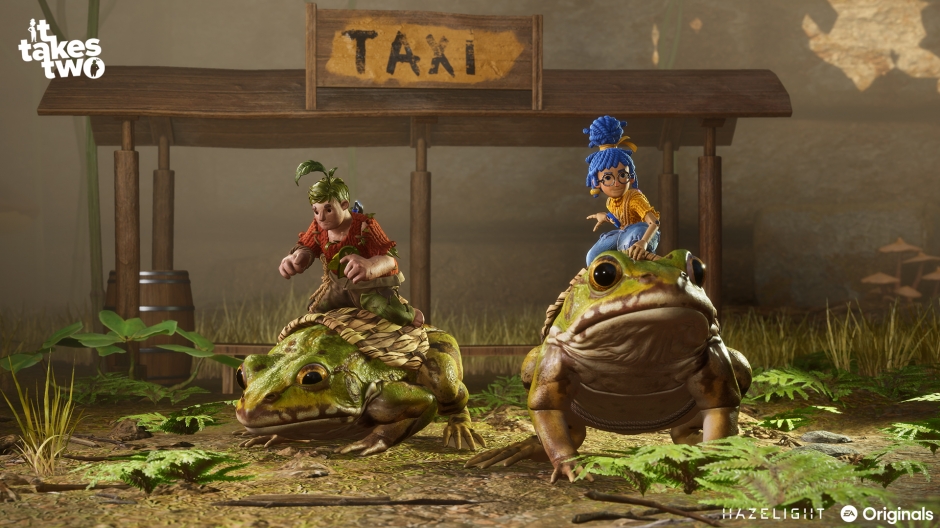 Ϸ˫˳СIt Takes Two ͼ