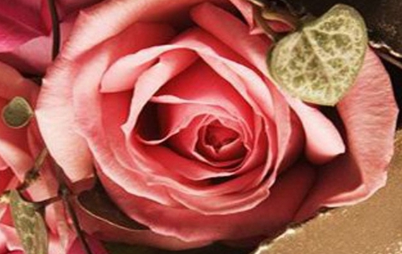 一支玫瑰花图片唯美伤感意境