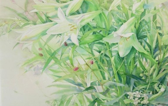 文艺小清新手绘植物花卉背景图片