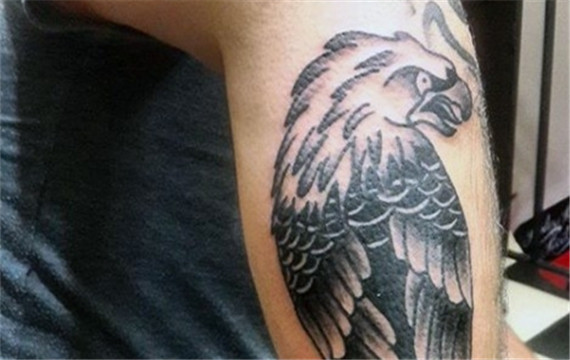 黑色老鹰动物图案手臂纹身图片
