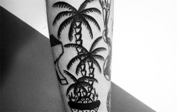 创意棕榈树和花盆图案黑白手臂纹身