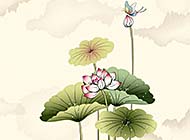 中国美丽花卉水墨画图片壁纸