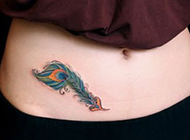 女生腹部的天使翅膀与羽毛纹身图片