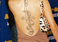 华裔女星白灵背部蛇纹身图片